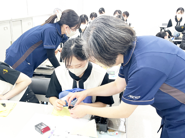 Nbp[̐n̂ꁙ